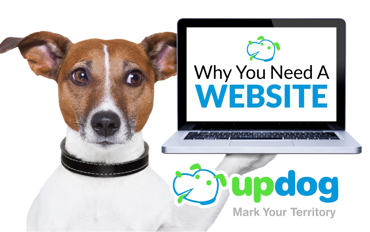 Why You Need a Business Website . . .