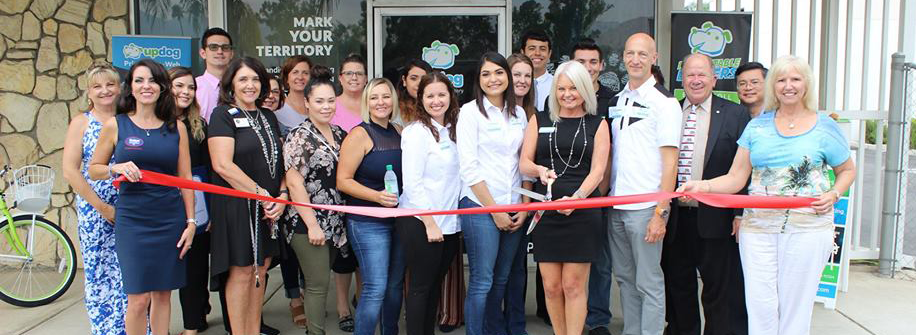 UpDog Media & Highland Chamber of Commerce Ribbon Cutting