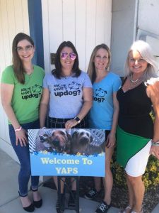 UpDog welcomes Y.A.P.S. as a Paws for Cause partner.